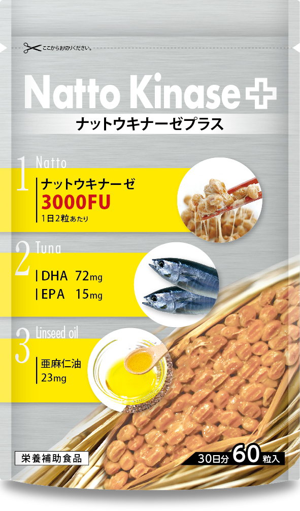 日本最大の まがぬまの店ナットウキナーゼエクセル 12個 日新薬品